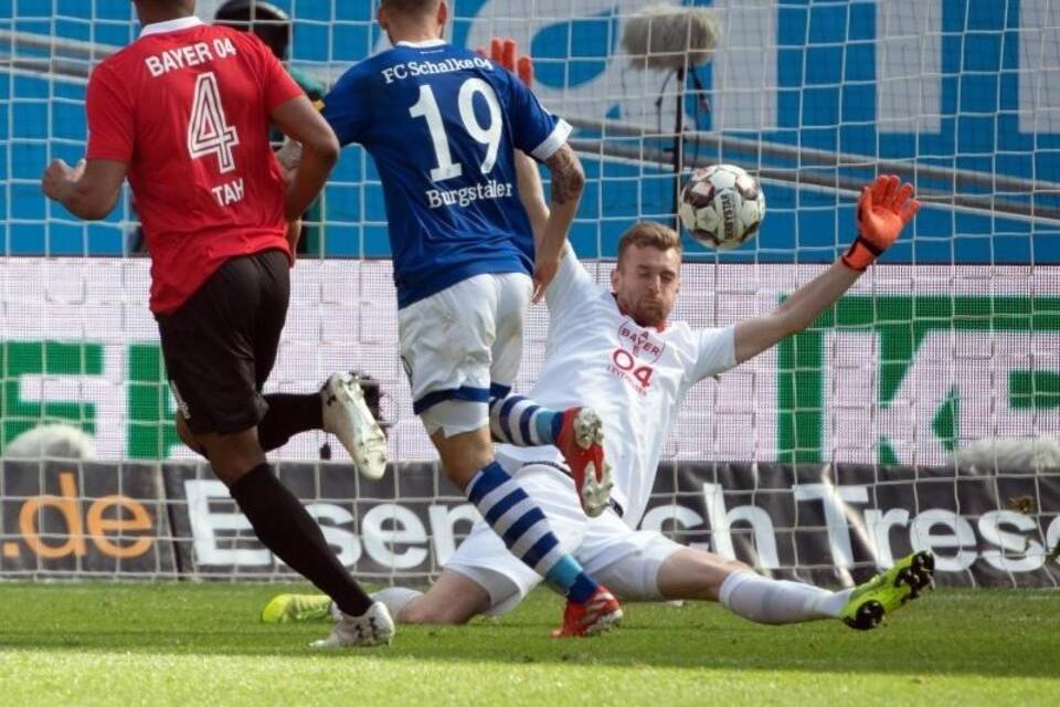 Bayer Leverkusen - FC Schalke 04 Bayer Leverkusen - FC Schalke 04