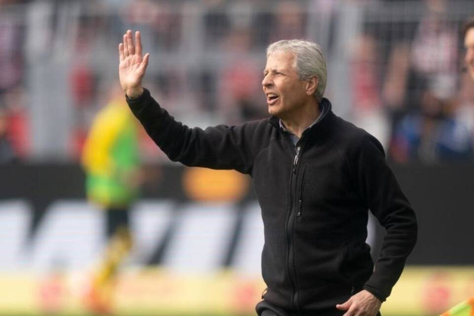 BVB-Coach BVB-Coach