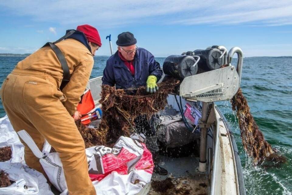 Umweltschützer holen Geisternetz aus der Ostsee Umweltschützer holen Geisternetz aus der Ostsee
