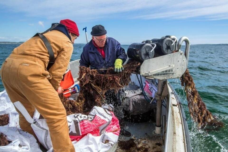 Umweltschützer holen Geisternetz aus der Ostsee