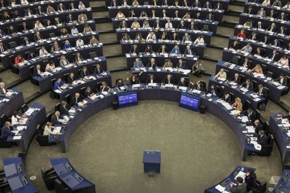 Europawahl Europawahl