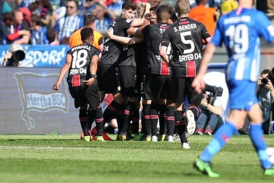 Bayer-Team Bayer-Team