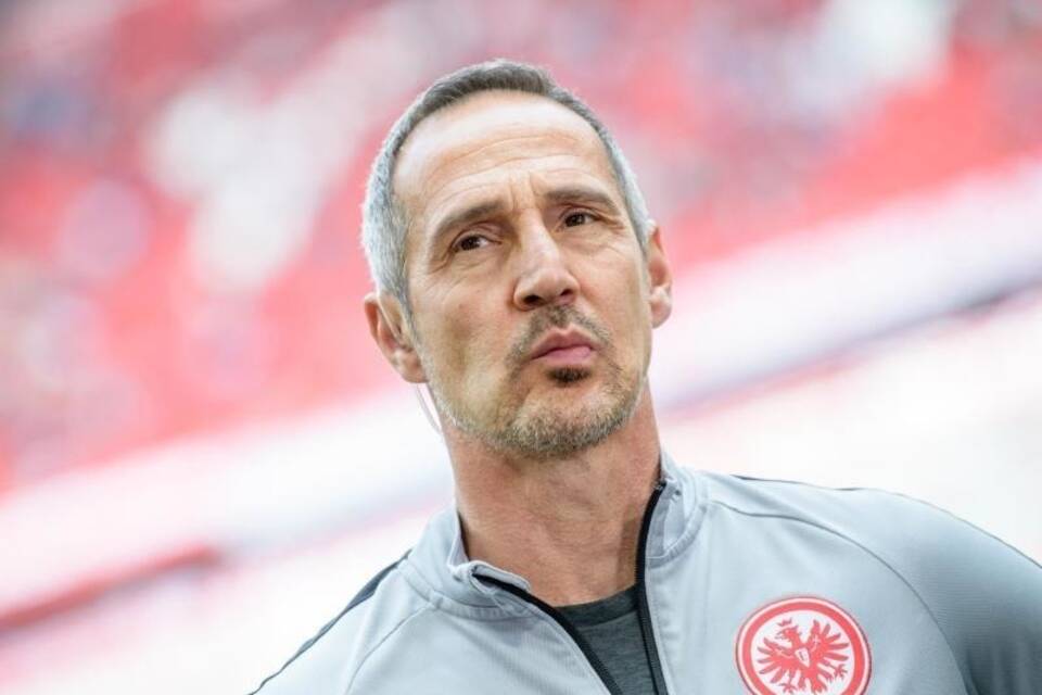 Hütter Hütter