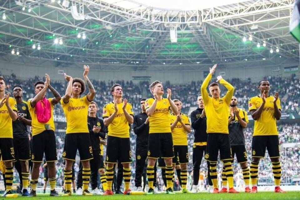 Vize-Meister Vize-Meister