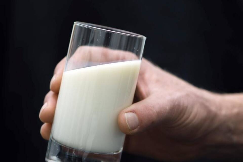 Milchindustrie Milchindustrie
