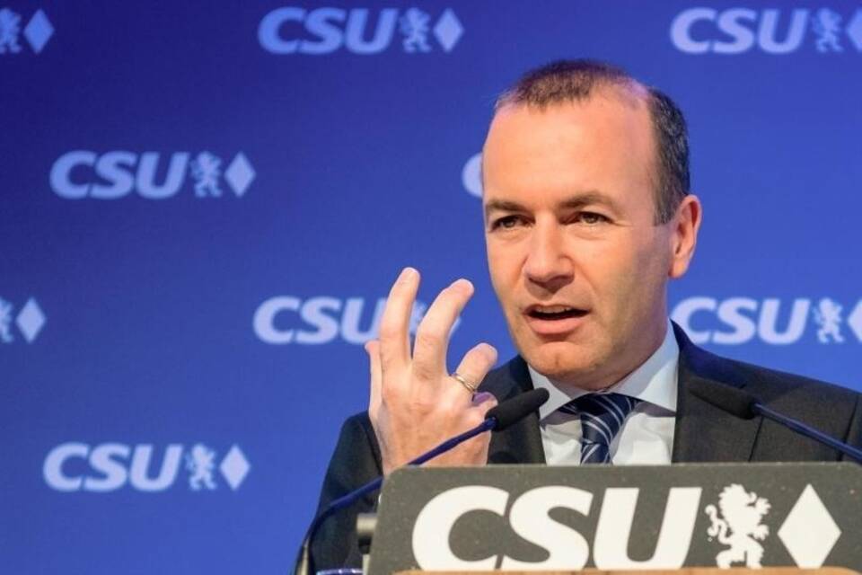 Manfred Weber