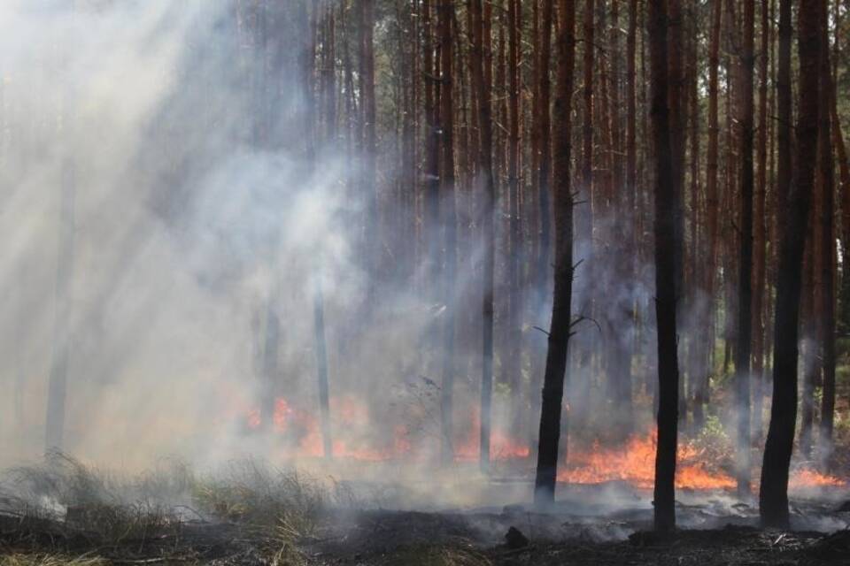 Waldbrand Waldbrand