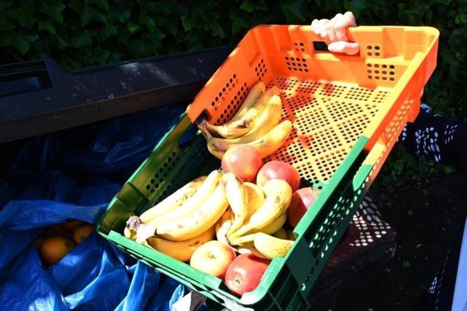 Im Müll gelandet Im Müll gelandet
