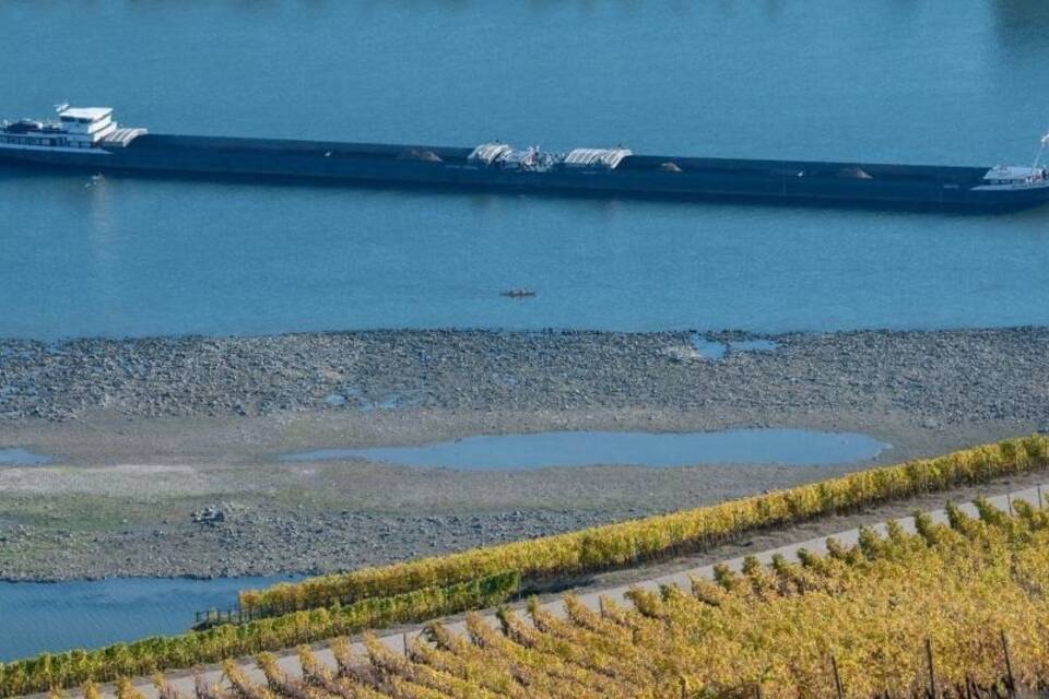 Niedrigwasser im Rhein