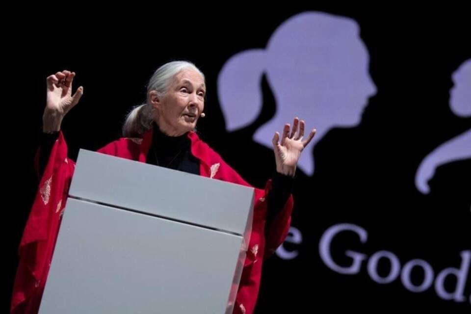 JaneGoodall