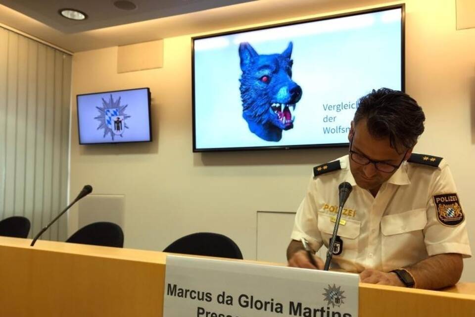 Wolfsmaske