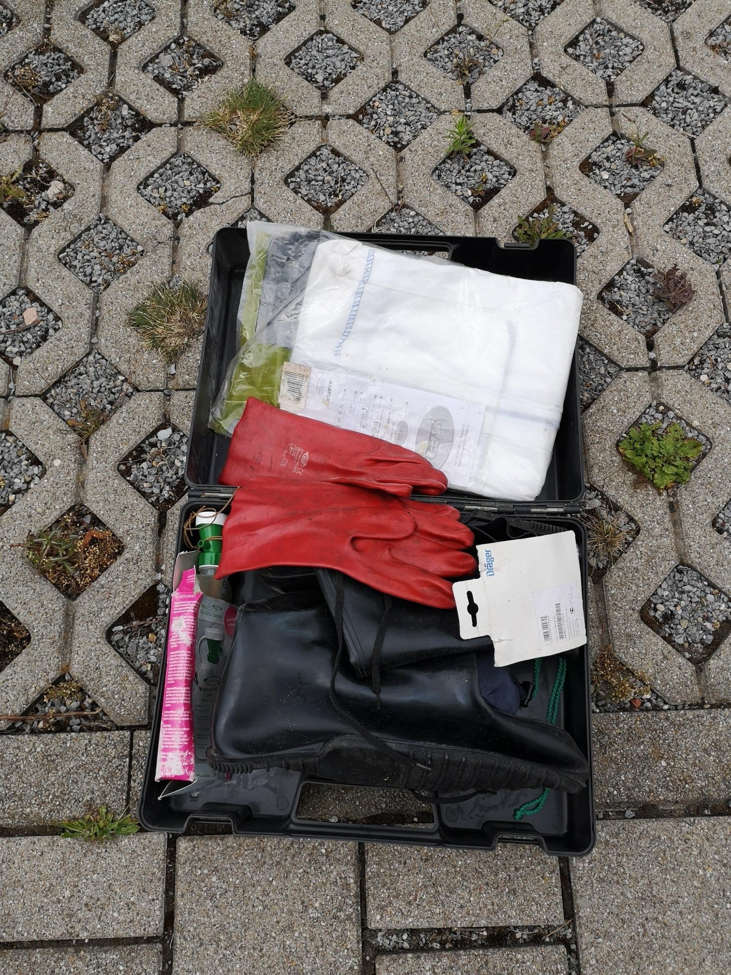 Rhein neckar zeitung sie sucht ihn