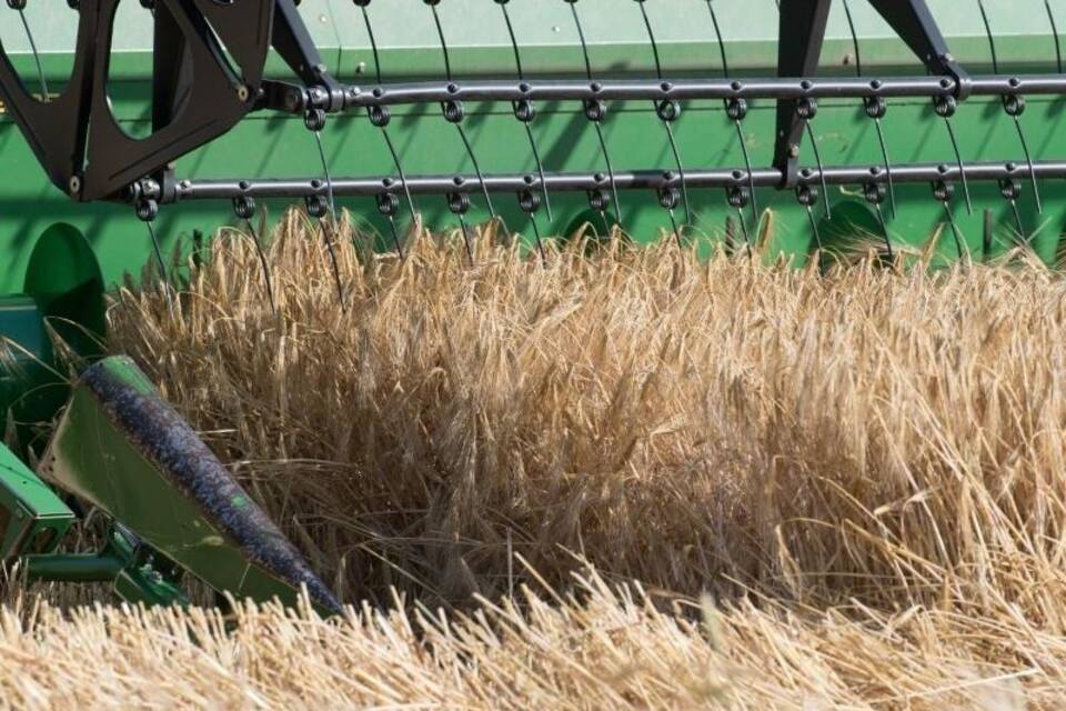 Getreideernte bei Grimmen in Mecklenburg-Vorpommern Getreideernte bei Grimmen in Mecklenburg-Vorpommern