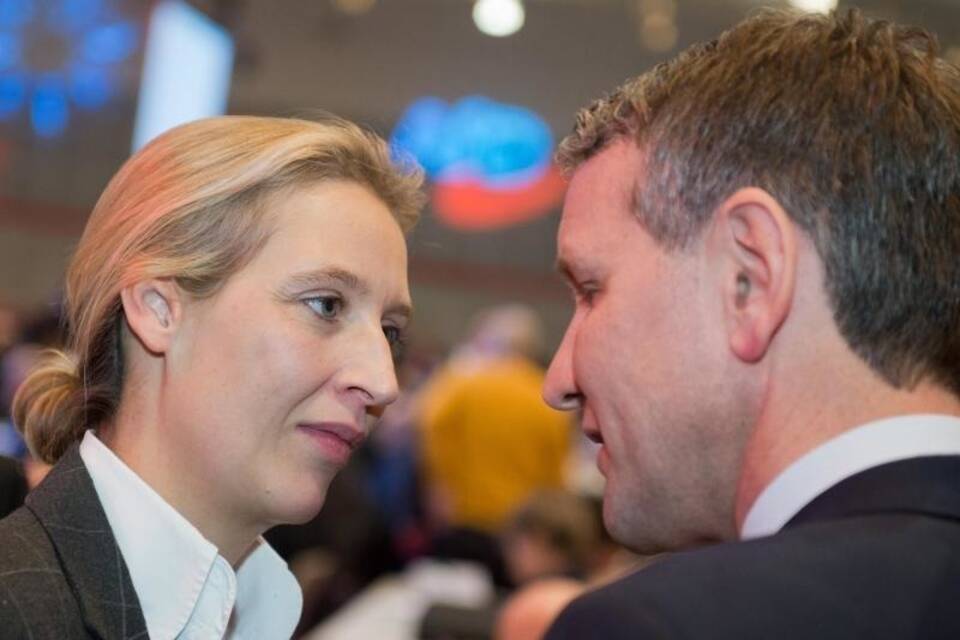 AfD-Parteitag AfD-Parteitag