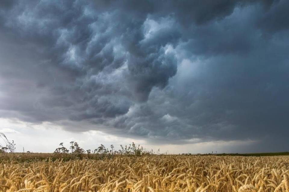 Unwetterfront bei Großenhain