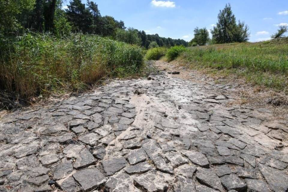 Ausgetrocknetes Flussbett der Schwarzen Elster