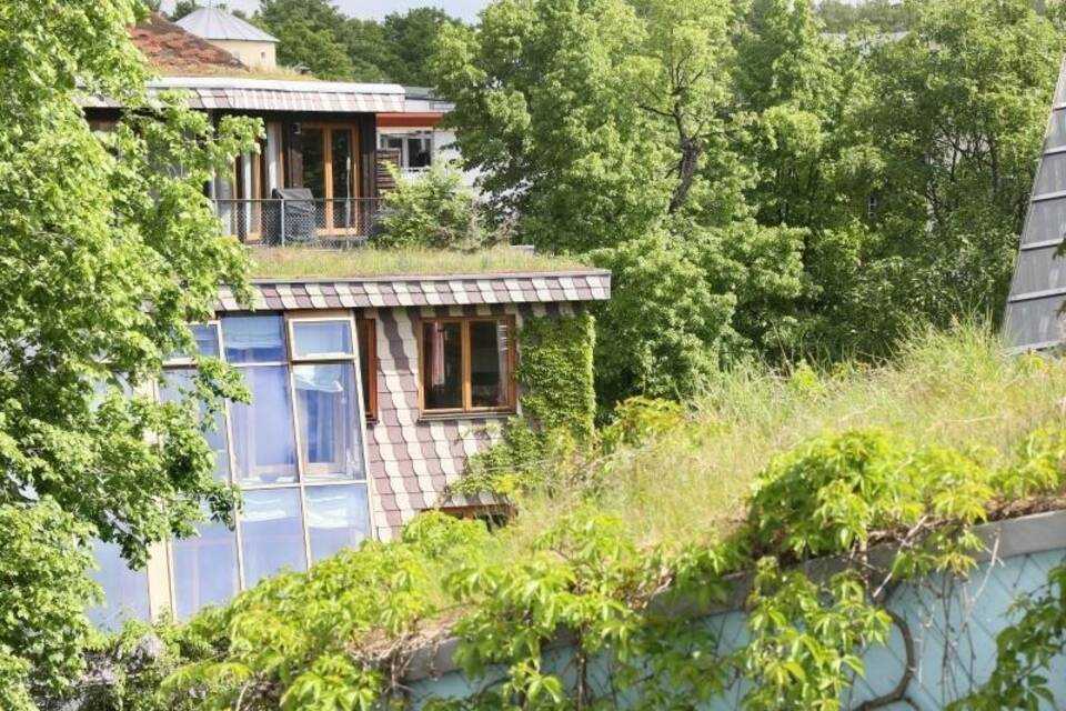 Hitzekampf im Städtebau Hitzekampf im Städtebau