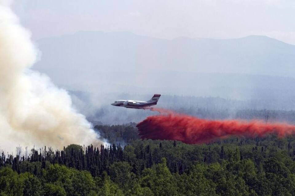 Waldbrand Waldbrand