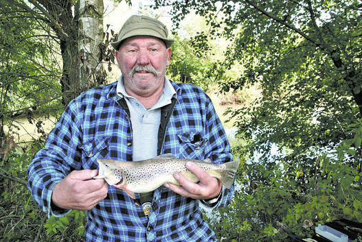 Viele fische online-dating