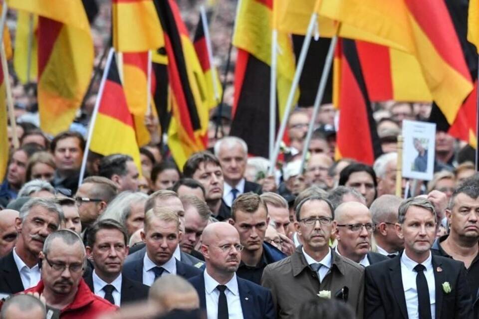 Die Flügelkämpfe der AfD Die Flügelkämpfe der AfD