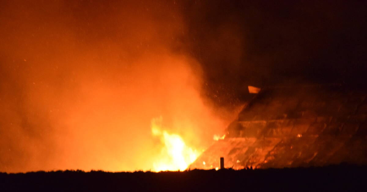 Kirchardt: 5000 Küken sterben bei Großbrand auf Putenhof (plus Fotogalerie)