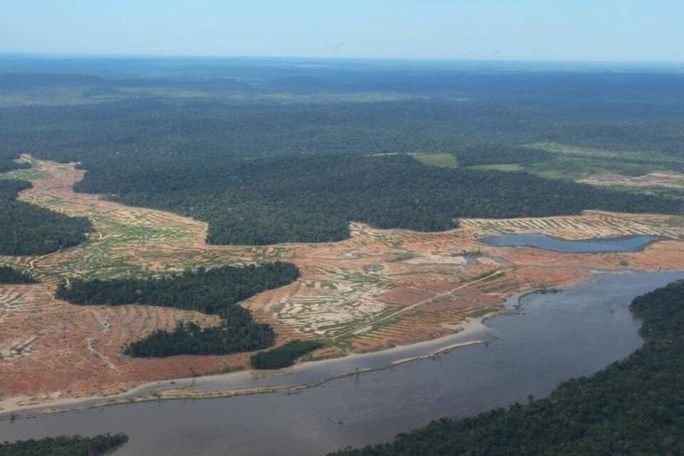 Amazonas Amazonas