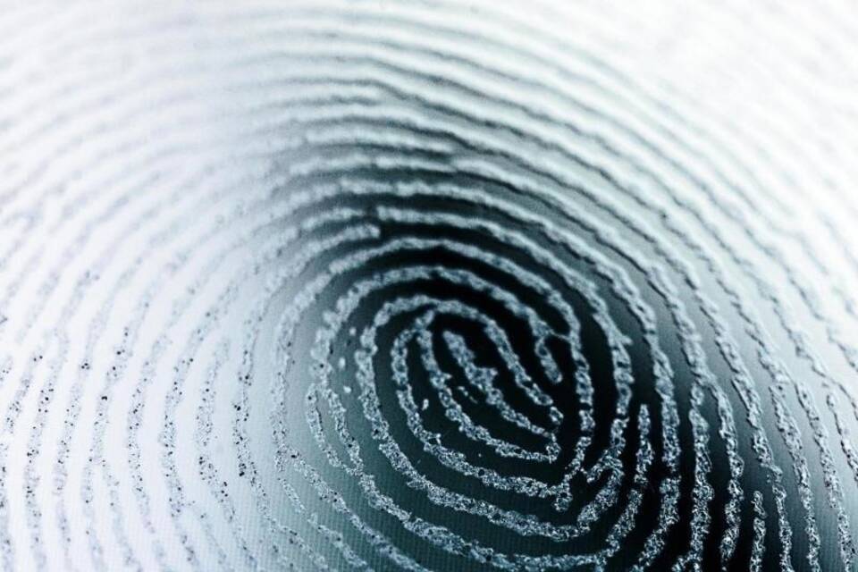 Biometrische Sicherung im Alltag