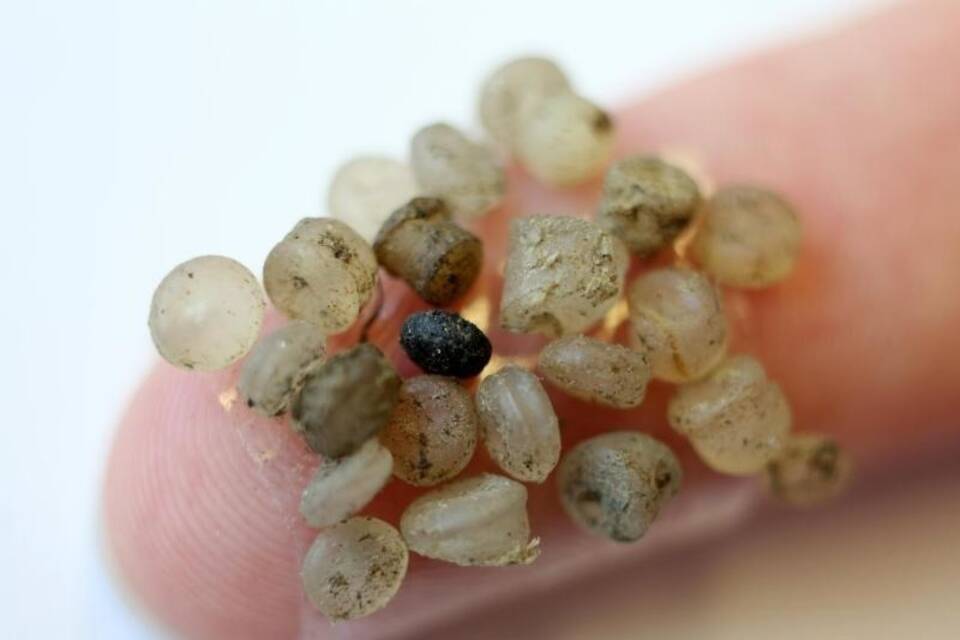Mikroplastik Mikroplastik
