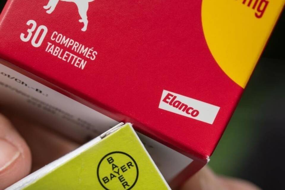 Bayer verkauft Tierarzneimittel-Sparte Bayer verkauft Tierarzneimittel-Sparte