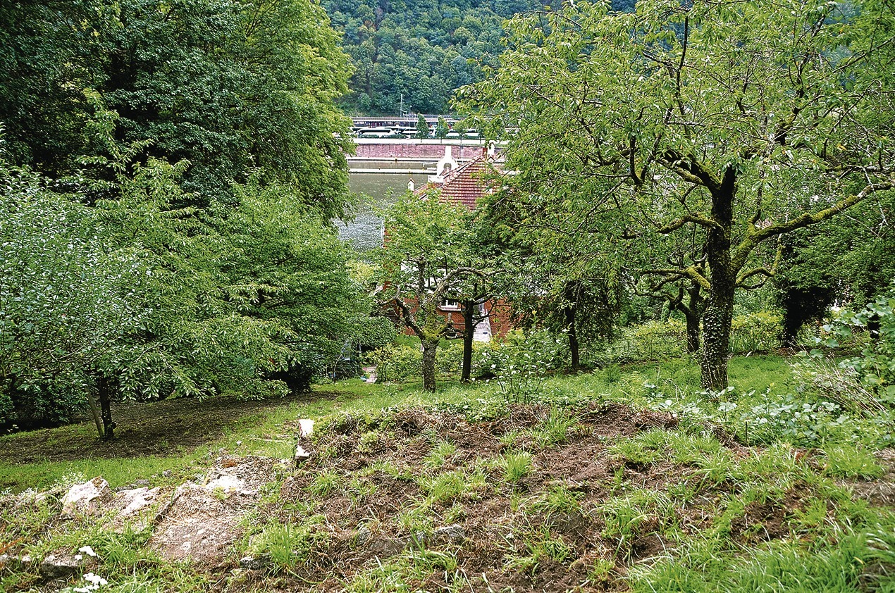 Wildschweine In Heidelberg Was Tun Gegen Die Ungebetenen Gaste