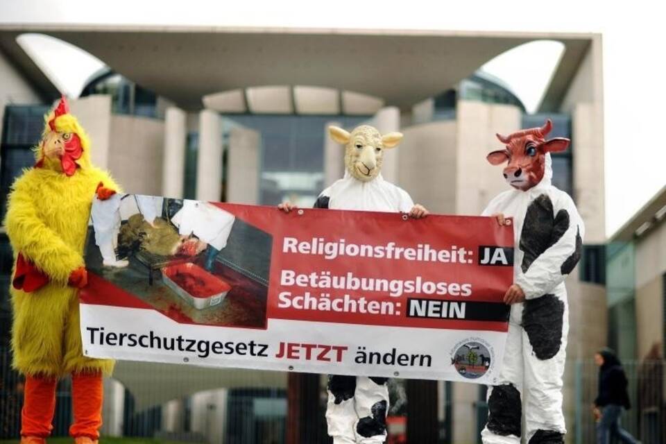 Protest gegen Schächten Protest gegen Schächten