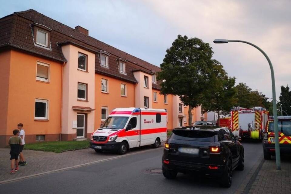 Vier Häuser wegen entwischter Kobra evakuiert Vier Häuser wegen entwischter Kobra evakuiert