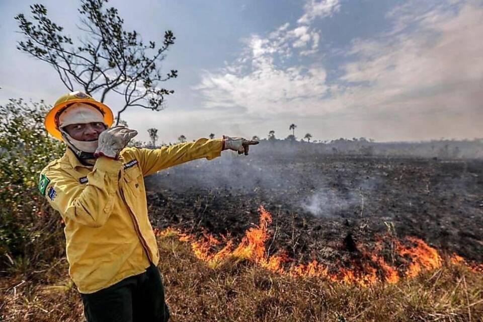 Feuer Feuer