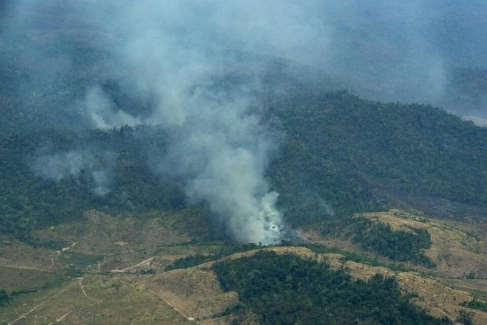 Waldbrände im Amazonas