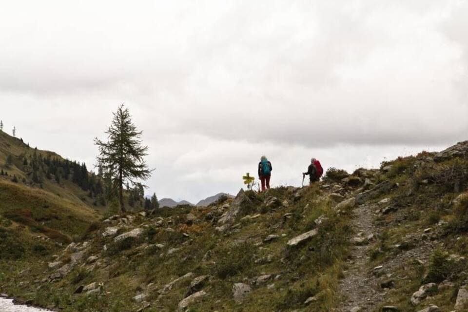 Österreichische Alpen