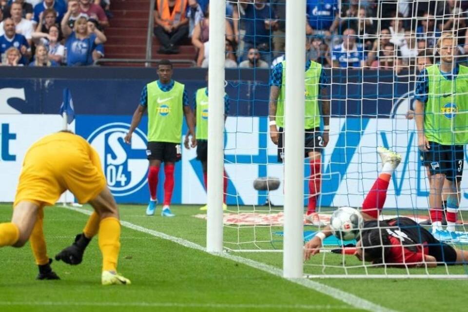 FC Schalke 04 - Hertha BSC FC Schalke 04 - Hertha BSC