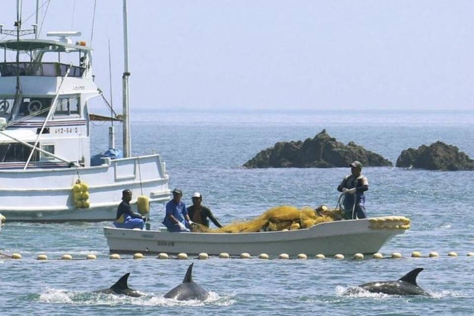 Walfang in Japan