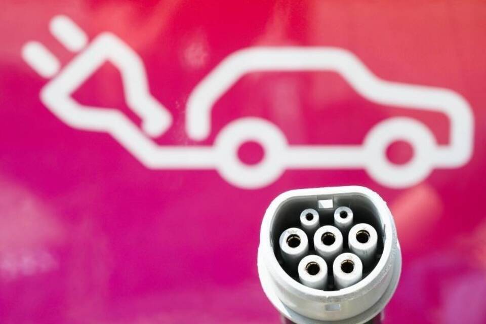 Stecker Stecker