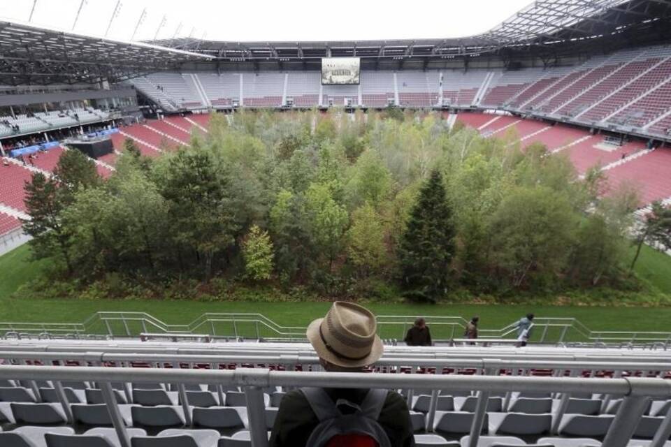 Waldinstallation im Fußballstadion