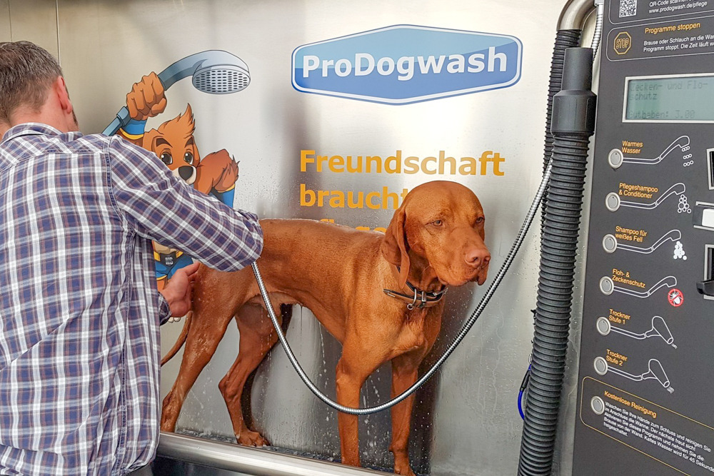 waschen fohnen flohschutz so funktioniert die hundewaschanlage in eberbach plus video eberbach rnz