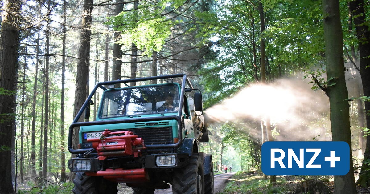Forst wird gekalkt Der Wald soll nicht sauer werden Neckartal und