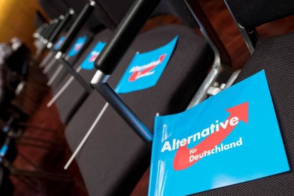 AfD-Landesparteitag