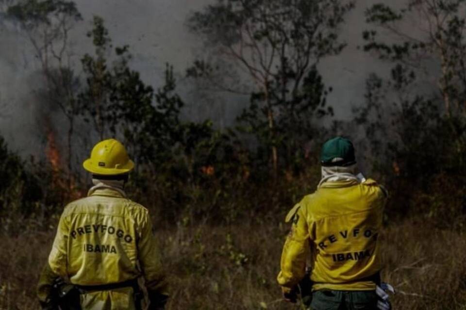 Waldbrände im Amazonas