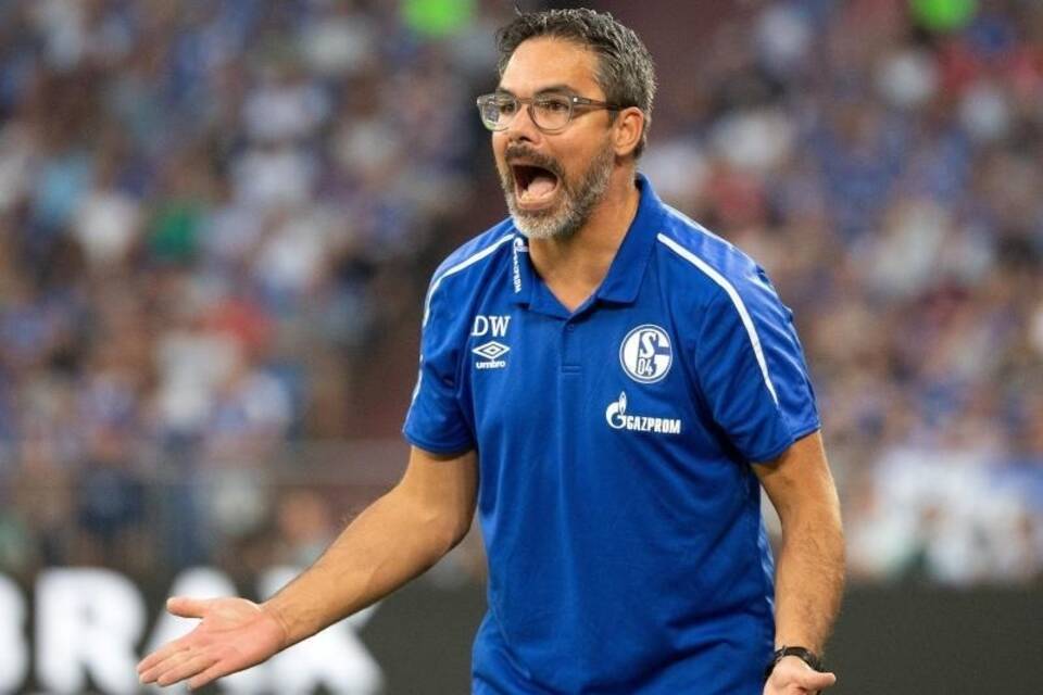 David Wagner David Wagner