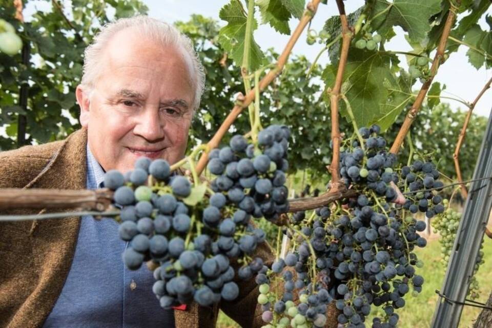 Winzer Keller Winzer Keller