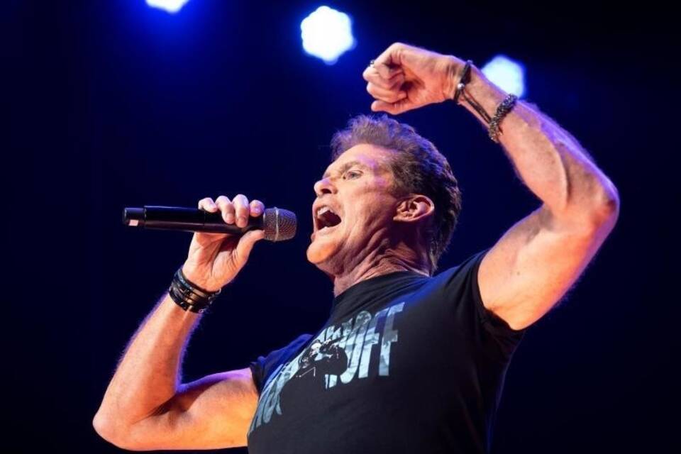David Hasselhoff David Hasselhoff