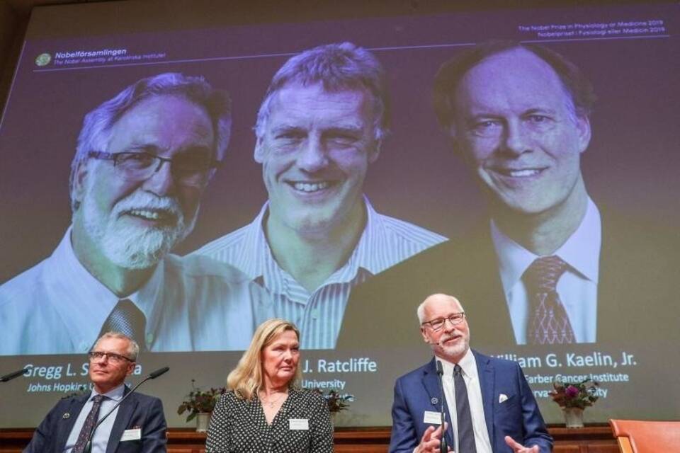Nobelkomitee präsentiert Medizin-Nobelpreisträger