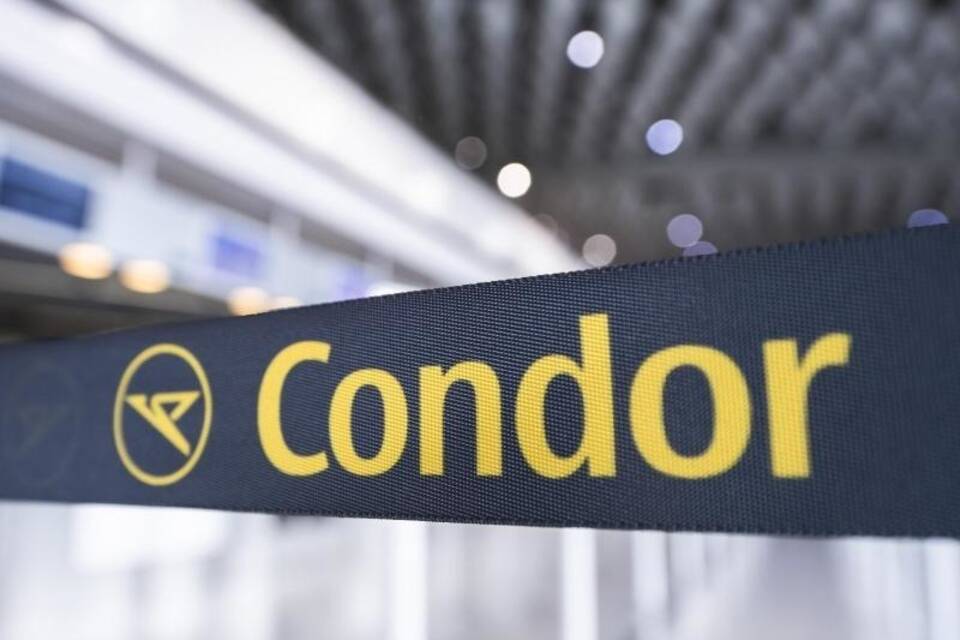Condor Condor
