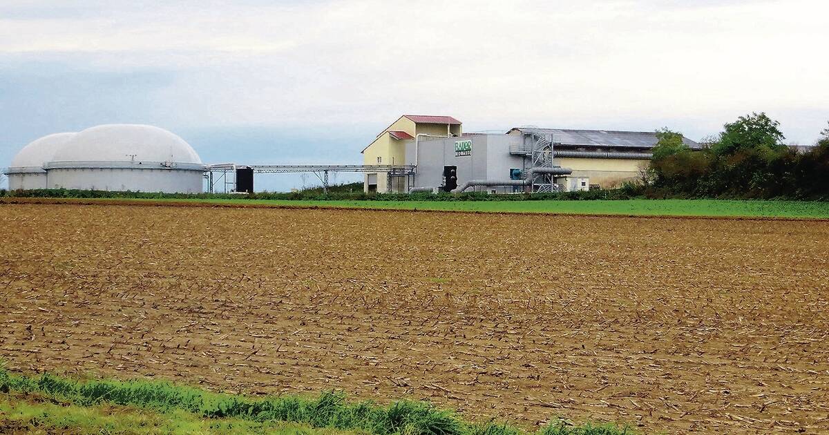 Bad Rappenau "Bauer Kompost" soll erweitert werden Sinsheim