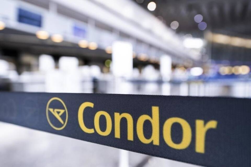 Condor Condor